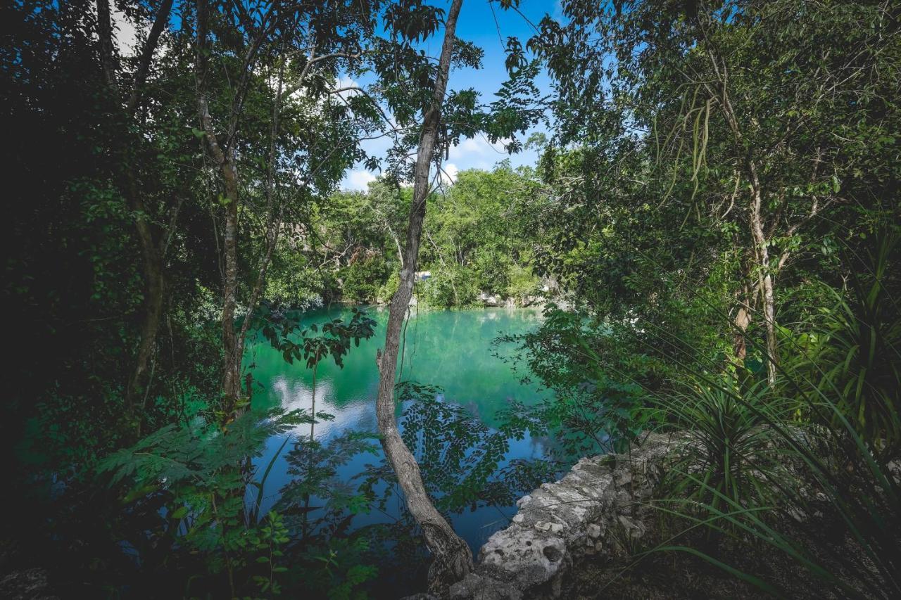 Wakax Hacienda - Cenote & Boutique Hotel ตูลุม ภายนอก รูปภาพ